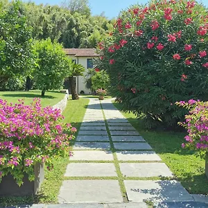 Affittacamere Spazio D'arte Relais, Pietrasanta